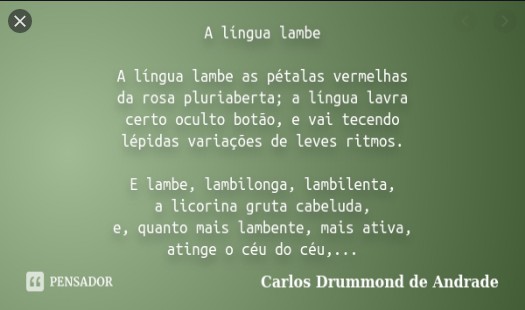 Carlos Drummond de Andrade - Poemas Eróticos 