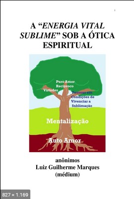 A Energia Vital Sublime Sob a Otima Espiritual - psicografia Luiz Guilherme Marques - espiritos diversos