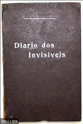 Diario dos Invisiveis – Zilda Gama