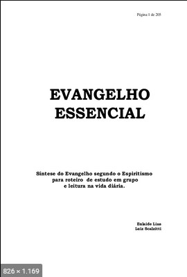Evangelho Essencial - Sintese do Evangelho Segundo o Espiritismo (Eulaide Lins e Luiz Scalzitti)