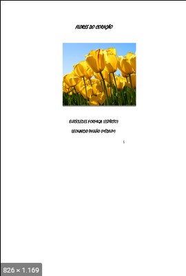 Flores do Coracao (psicografia Leonardo Paixao – espirito Euricledes Formiga)