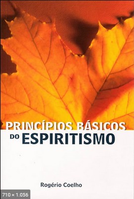 Principios Basicos do Espiritismo (Rogerio Coelho)
