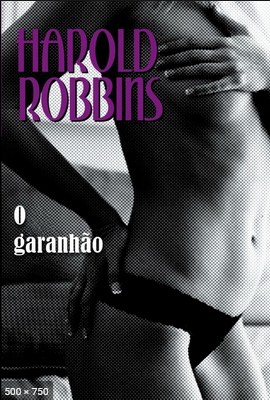 O Garanhao - Harold Robbins.pdf