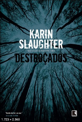 Destrocados – Karin Slaughter