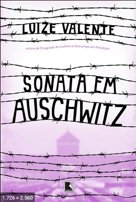 Sonata em Auschwitz - Luize Valente