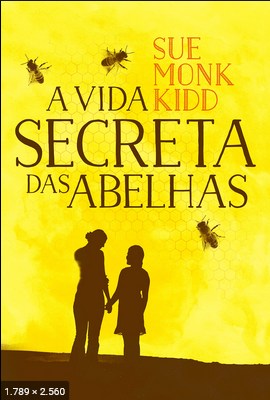 A Vida Secreta Das Abelhas - Sue Monk Kidd