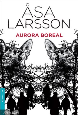 Aurora Boreal – Asa Larsson