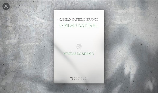 Camilo Castelo Branco – O FILHO NATURAL doc