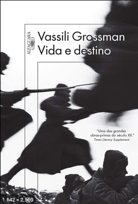 Vida e Destino – Vassili Grossman