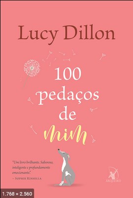 100 pedacos de mim - Lucy Dillon