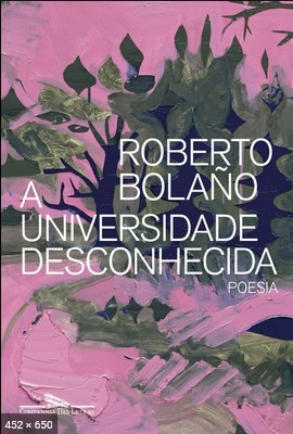 A Universidade Desconhecida - Roberto Bolano