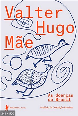 As doencas do Brasil – Valter Hugo Mae