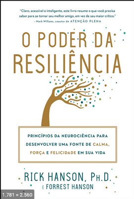 O Poder Da Resiliencia – Rick Hanson
