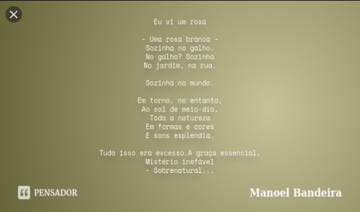 Manuel Bandeira – EU VI UMA ROSA doc